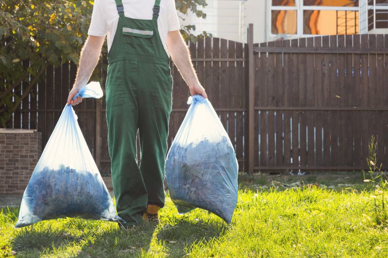 Debris Removal Service in Auburn, CA